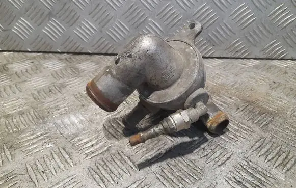 Thermostat/thermostat housing