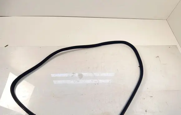 BMW X5 E70 Rubber seal rear door A2216970951