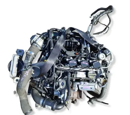 Ford Focus Engine M1DD