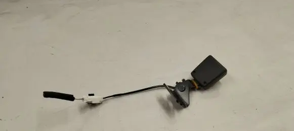 Rear seatbelt buckle