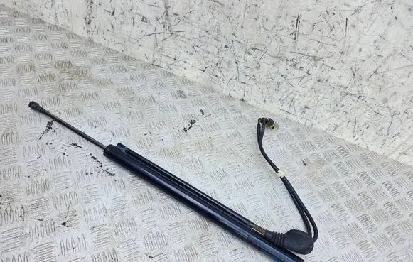 Opel Insignia A Tailgate/trunk strut/damper 23439950 B163057