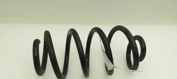 Nissan Juke I F15 Rear coil spring
