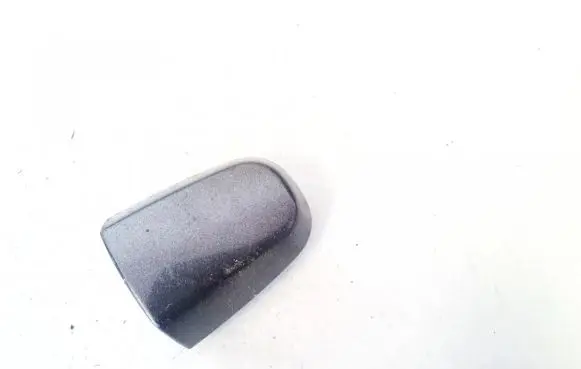 Toyota RAV 4 (XA30) Loading door cover/cap 