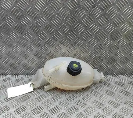 Opel Movano B Coolant expansion tank/reservoir 217100015R