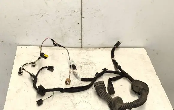 Renault Captur Front door wiring loom 241254150R 000000 15605