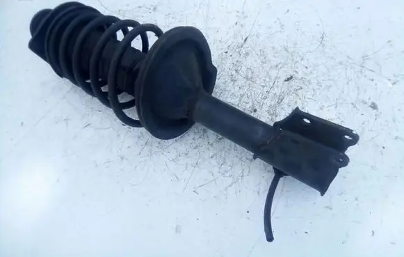Fiat Doblo Rear shock absorber/damper 1561097588