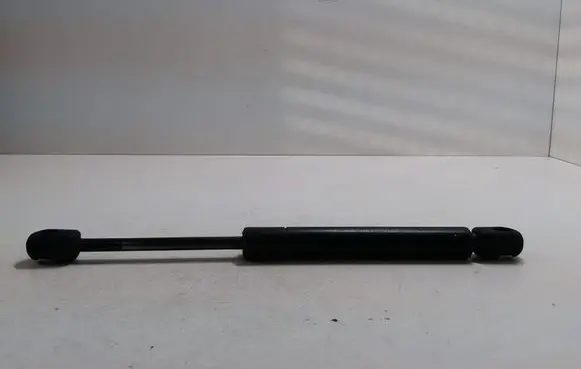 Tailgate/trunk strut/damper