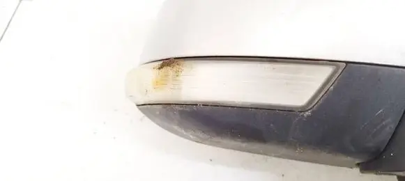 Ford Focus Mirror indicator light 