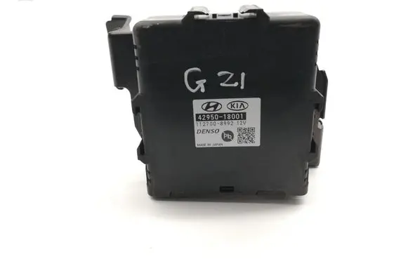 Hyundai Kona I Other devices 4295018001