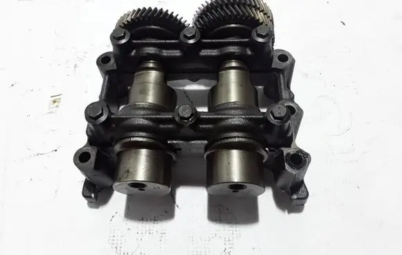 Renault Scenic III - Grand scenic III Balance shaft 8200498125