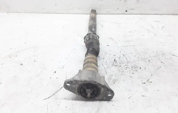 Ford Focus C-MAX Rear shock absorber/damper