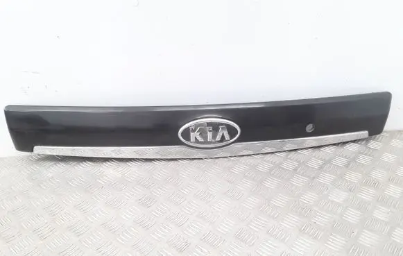 KIA Carnival Number plate light