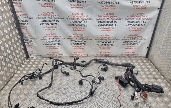Volkswagen PASSAT B5.5 Engine installation wiring loom 8E1971072MM