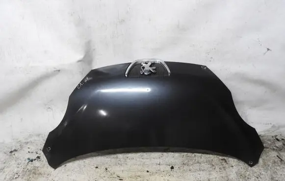 Citroen C1 Engine bonnet/hood 900xxcc19