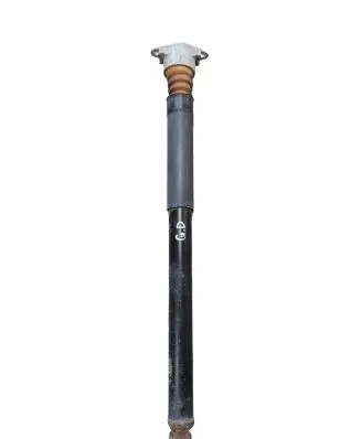 Ford Ecosport Rear shock absorber/damper GN1518080