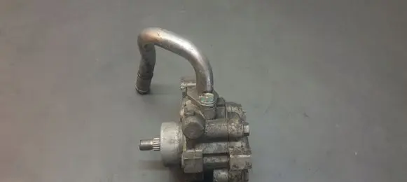 KIA Carnival Power steering pump
