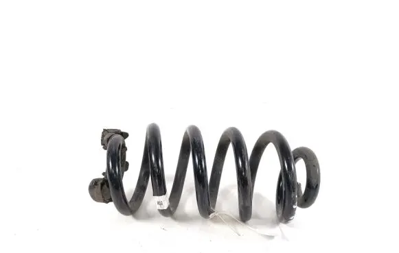 Volkswagen ID.4 Rear coil spring 1EA511103G