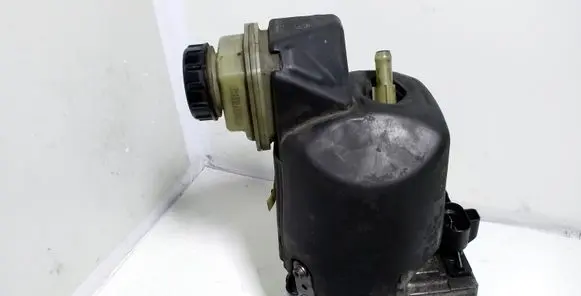Renault Laguna III Power steering pump 491100033R