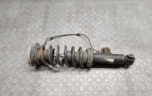 BMW X3 F25 Rear shock absorber/damper 6799911
