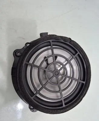 Front door speaker