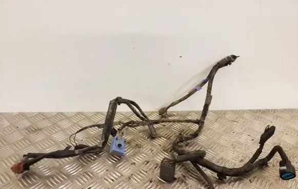 Subaru Outback (BS) Other wiring loom