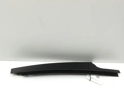 BMW X5 G05 Front door glass trim molding 7429387