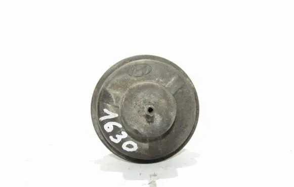 Hyundai Santa Fe EGR valve