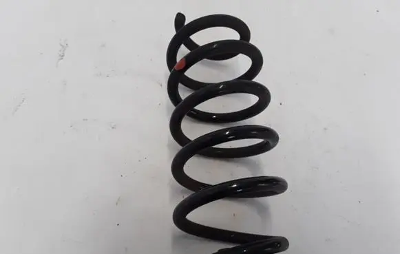 Renault Captur Rear coil spring 550201983R