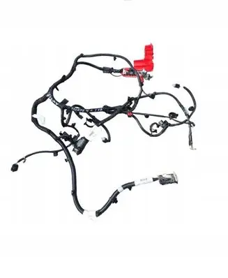 Ford Escape IV Wires (starter motor) MX6T14305NAFA