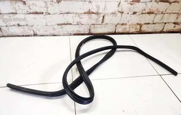 Ford Focus Rubber seal front coupe door 