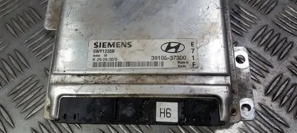 Hyundai Trajet Engine control unit/module 5WY1235B 39108-37300