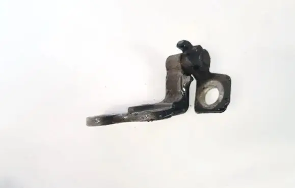 Ford Focus Rear door lower hinge