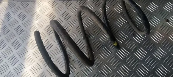KIA Carens I Front coil spring
