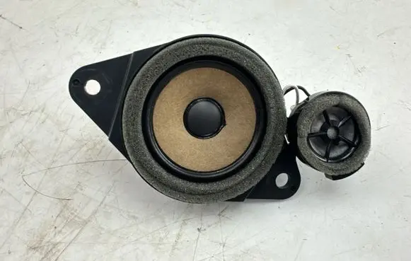 Panel speaker