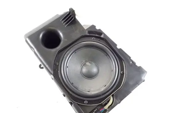Tesla Model 3 Front door speaker 107974700D