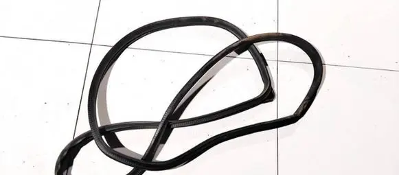 Mazda 5 Rubber seal front coupe door 