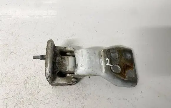 Rear door lower hinge