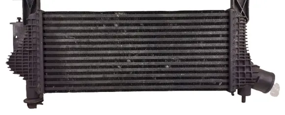 Nissan Pathfinder R51 Intercooler radiator 144615X00A