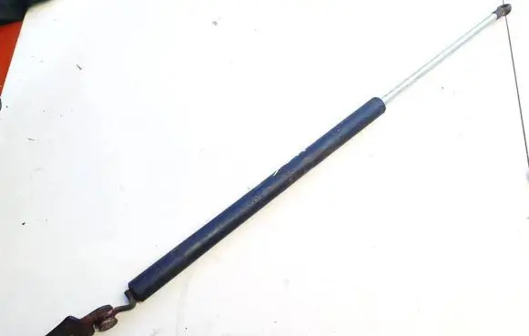 Tailgate/trunk strut/damper