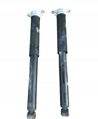Ford Kuga II Rear shock absorber/damper 8V6118159AB