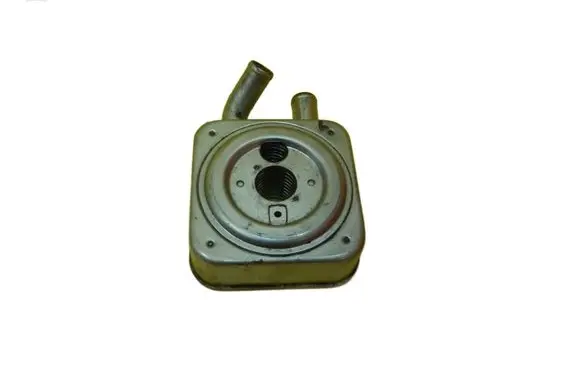 Hyundai Santa Fe Engine oil radiator D4EB