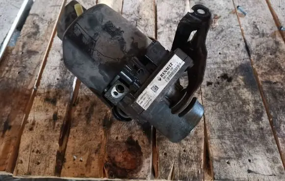 Renault Laguna III Power steering pump 491109313R
