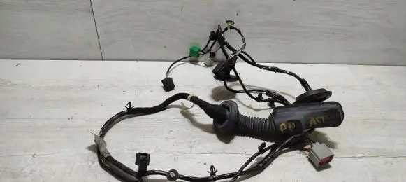 Front door wiring loom