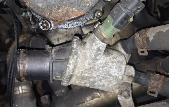 Opel Zafira B Engine coolant pipe/hose