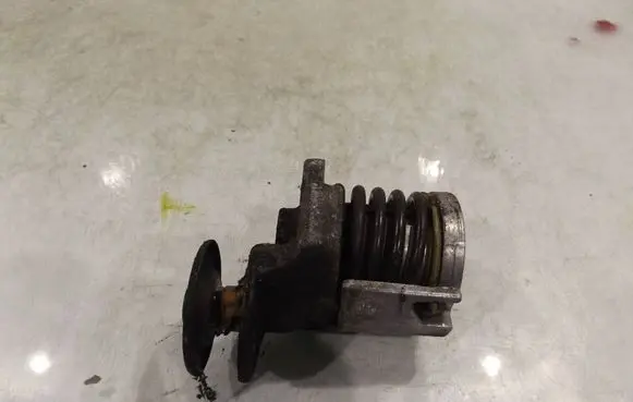 Volkswagen Polo IV 9N3 Timing belt/chain tensioner 