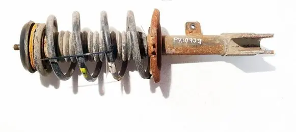 Citroen C4 I Picasso Front shock absorber/damper