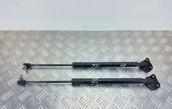Opel Zafira C Tailgate/trunk strut/damper 13387067