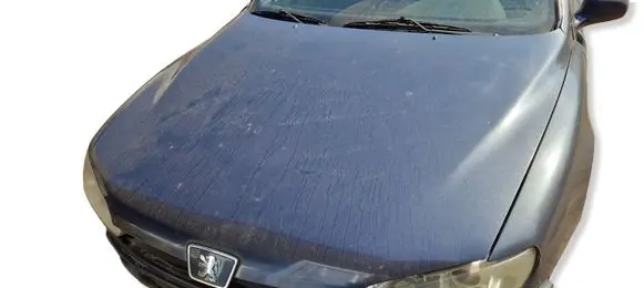Peugeot 406 Engine bonnet/hood 
