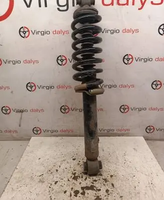 Opel Grandland X Rear shock absorber with coil spring 