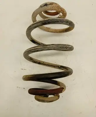 Volkswagen PASSAT B5 Rear coil spring